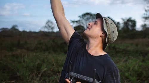 Гориллы