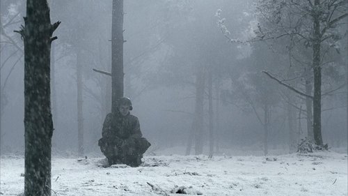 Бастонь