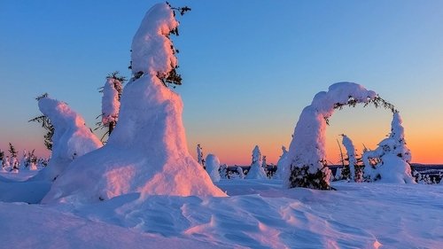 Полярный день