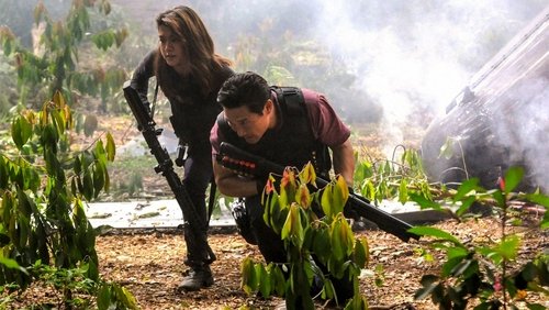 Журналистское расследование