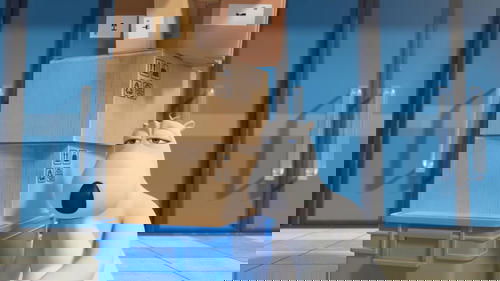 Эпизод 11