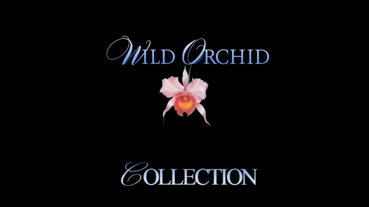 Дикая орхидея