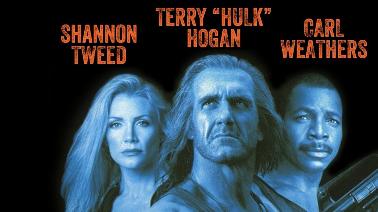 Коллекция всех эпизодов Shadow Warriors онлайн на Эмбликс