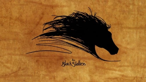 Коллекция всех эпизодов The Black Stallion онлайн на Эмбликс