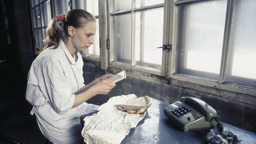 Коллекция всех эпизодов Aki Kaurismäki's Proletariat Trilogy онлайн на Эмбликс