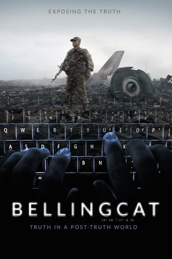 Фильм Bellingcat: Правда в мире постправды online на emblix