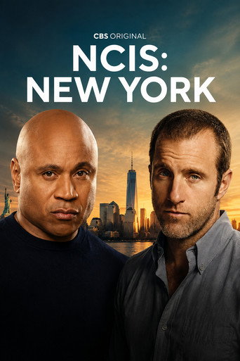 Сериал Морская полиция: Нью-Йорк онлайн на Эмбликс