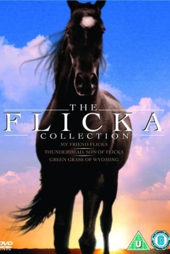 Коллекция всех эпизодов The Flicka онлайн на Эмбликс