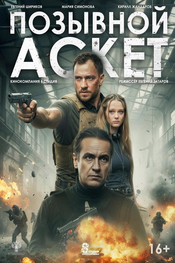 Фильм Позывной «Аскет» online на emblix