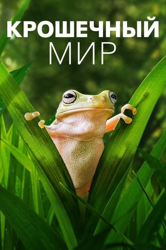 Крошечный мир