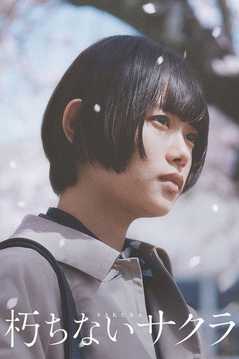 Фильм Сакура online на emblix