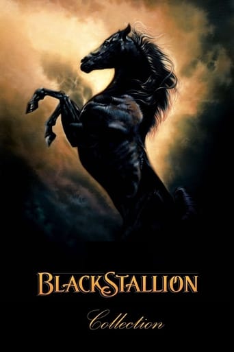 Коллекция всех эпизодов The Black Stallion онлайн на Эмбликс