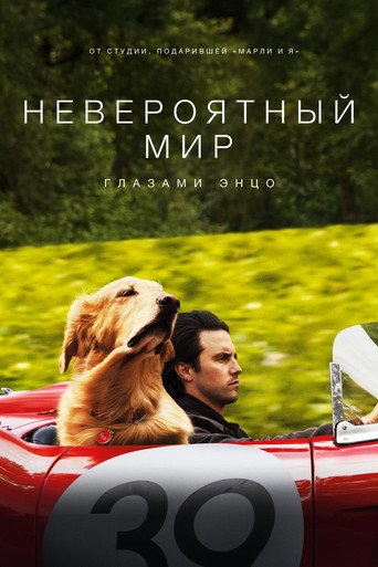 Фильм Невероятный мир глазами Энцо online на emblix
