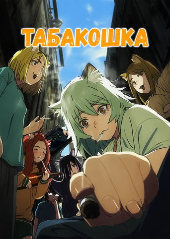 Аниме Табакошка онлайн на emblix