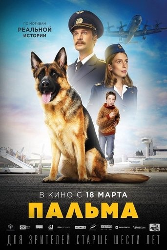 Коллекция всех эпизодов Пальма онлайн на Эмбликс