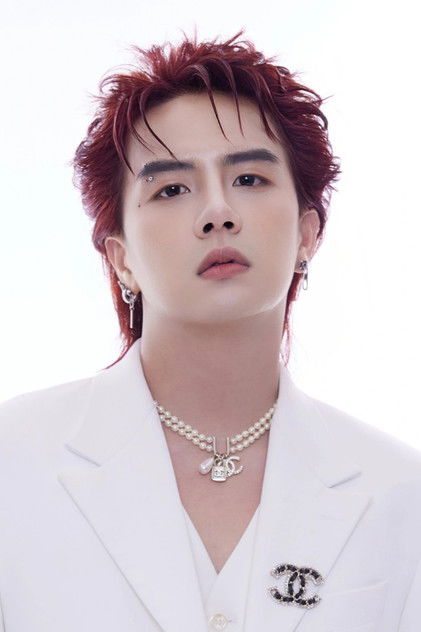 Подборка фильмов с Дуй Хан online на Emblix