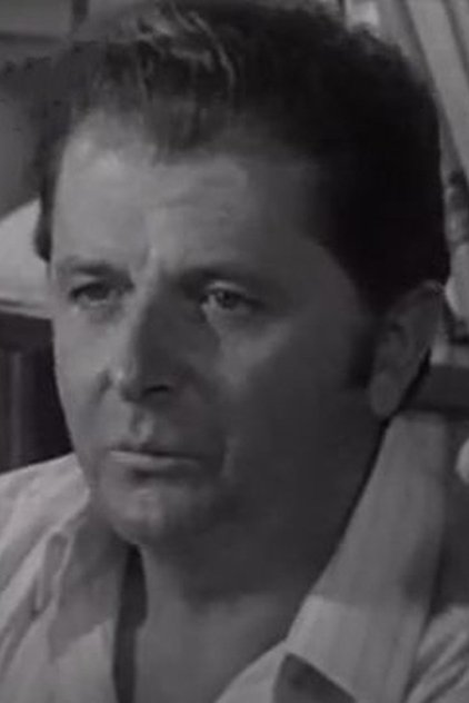 Подборка фильмов с Мише Мартинович online на Emblix