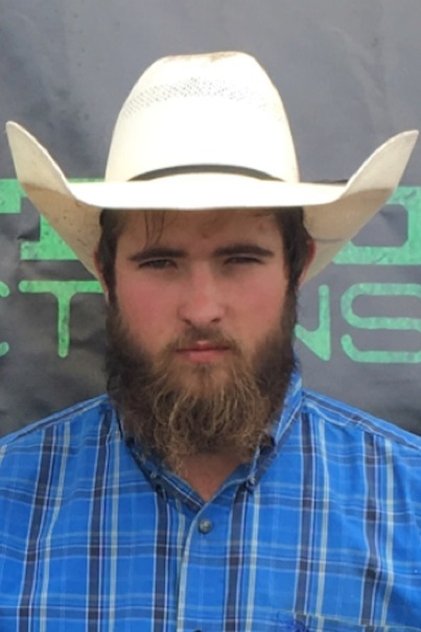 Подборка фильмов с Тристин Вулси online на Emblix