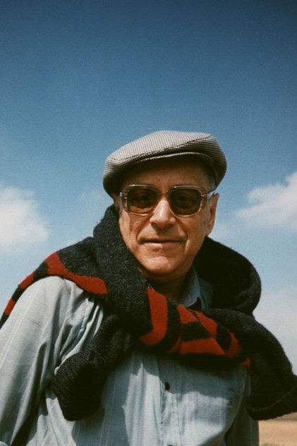 Подборка фильмов с Ари Вакслер online на Emblix