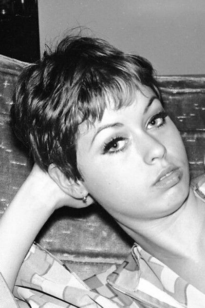 Подборка фильмов с Линн Харрис online на Emblix