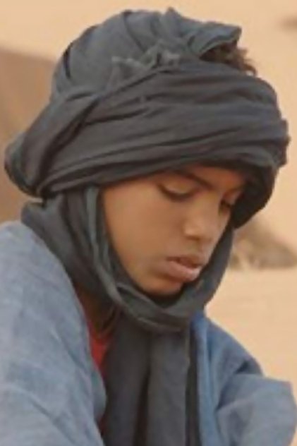 Подборка фильмов с Mehdi A.G. Mohamed online на Emblix