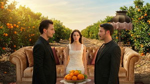 Коралловый особняк кадр 1 на Эмбликс в Hd