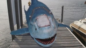 Акула-Франкенштейн кадр 2 онлайн-кинотеатр Эмбликс