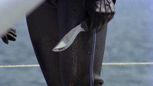 Девять гостей для убийства кадр 8 онлайн-кинотеатр Эмбликс