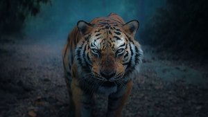 Кантара: Легенда. Часть 1 кадр 5 онлайн-кинотеатр Эмбликс