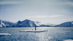 Фигуристка кадр 6 онлайн-кинотеатр Эмбликс