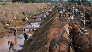 Орёл или решка? кадр 21 онлайн-кинотеатр Эмбликс