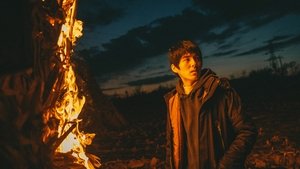 Пожар на равнине кадр 2 онлайн-кинотеатр Эмбликс
