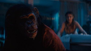 Примат кадр 17 онлайн-кинотеатр Эмбликс