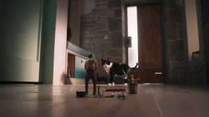 Дорогая, я уменьшаюсь кадр 5 онлайн-кинотеатр Эмбликс