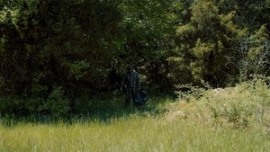 Утроба кадр 5 онлайн-кинотеатр Эмбликс