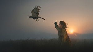 «Я» значит Ястреб кадр 1 онлайн-кинотеатр Эмбликс