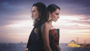 Полёт птицы кадр 5 на Эмбликс в Hd