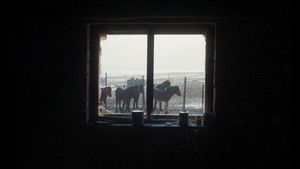 Убить монгольскую лошадь кадр 9 онлайн-кинотеатр Эмбликс