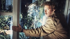 Вторжение похитителей тел кадр 33 онлайн-кинотеатр Эмбликс