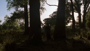 Тумстоун: Легенда дикого запада кадр 24 онлайн-кинотеатр Эмбликс