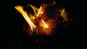 Бугония кадр 145 онлайн-кинотеатр Эмбликс