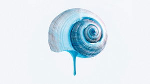 Голубая тропа кадр 3 онлайн-кинотеатр Эмбликс