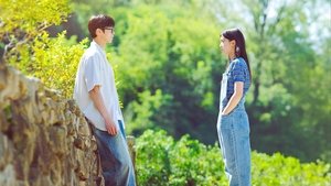 Последнее лето кадр 5 на Эмбликс в Hd