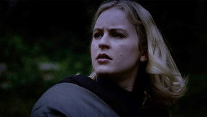 Ночь гризли кадр 4 онлайн-кинотеатр Эмбликс