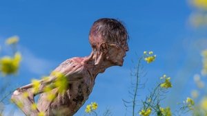 28 лет спустя кадр 10 онлайн-кинотеатр Эмбликс