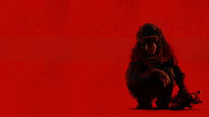 Примат кадр 6 онлайн-кинотеатр Эмбликс