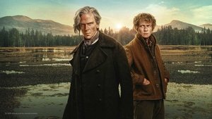 Сварить медведя кадр 2 на Эмбликс в Hd