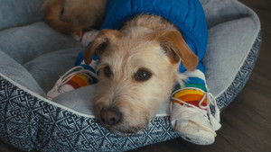 Мерв кадр 7 онлайн-кинотеатр Эмбликс