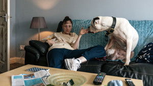 Стрекоза кадр 4 онлайн-кинотеатр Эмбликс