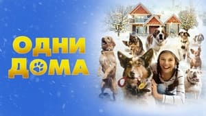 Одни дома  кадр 5 онлайн-кинотеатр Эмбликс